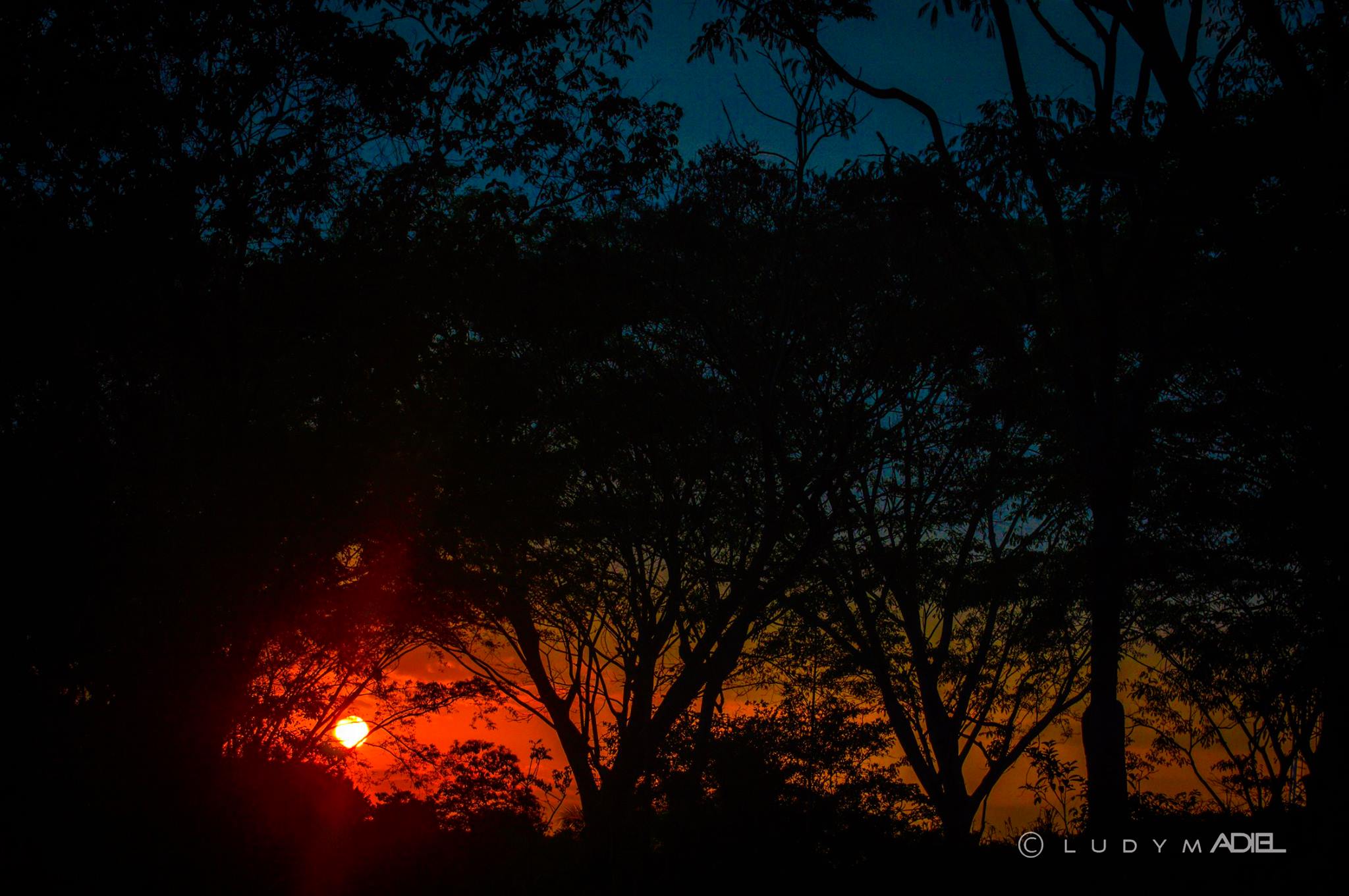 Image by Ludym Adiel